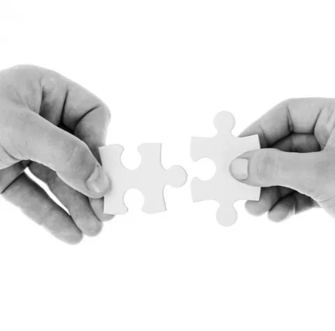 Software Developer vs Solutions Developer