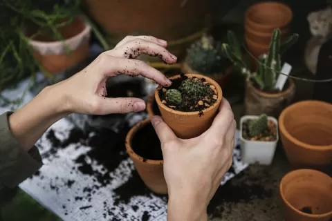 Gardening - A Better Life, and A Greater World