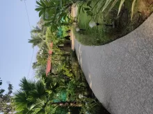Gardening - A Better Life, and A Greater World