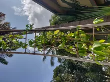 Gardening - A Better Life, and A Greater World