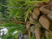 Gardening - A Better Life, and A Greater World