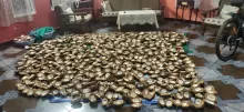 Coconut