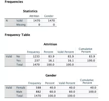 IBM SPSS